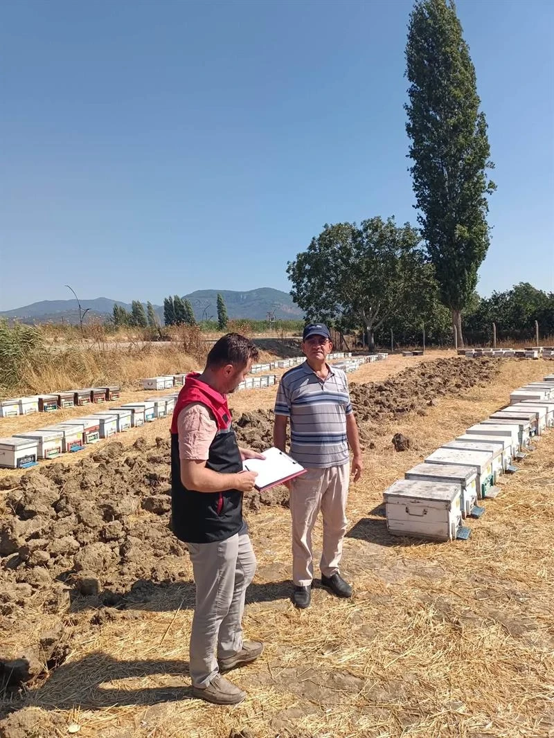 Balıkesir İl Tarım Müdürlüğü Arıcılık Faaliyetlerini Sahada Denetliyor