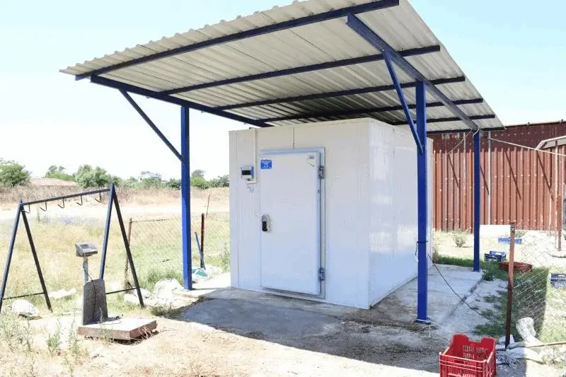 Büyükşehir Bandırma ve Manyas'taki Balıkçılara Soğuk Depo Kurdu