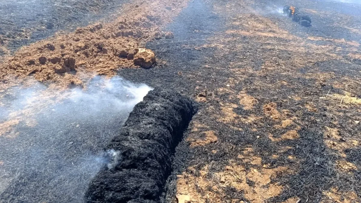 Gönen'de Yol Kenarında Çıkan Yangın Çiftliğe Sıçradı: 90 Ton Saman Kül Oldu